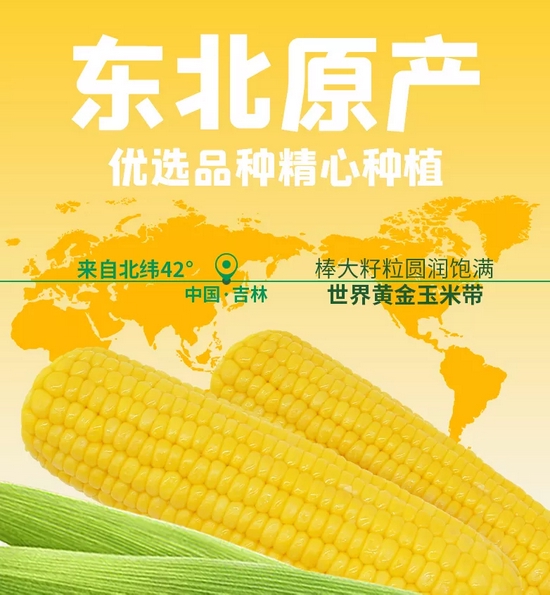 沉甸甸金灿灿吉林省首家鲜食玉米通过生态原产地保护产品评审