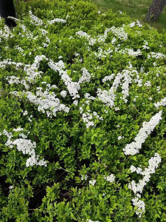 (来源:白山市文化广播电视和旅游局)