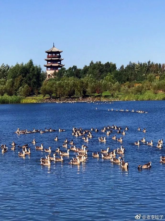 长春北湖国家湿地公园 图源丨微博@老李娃子