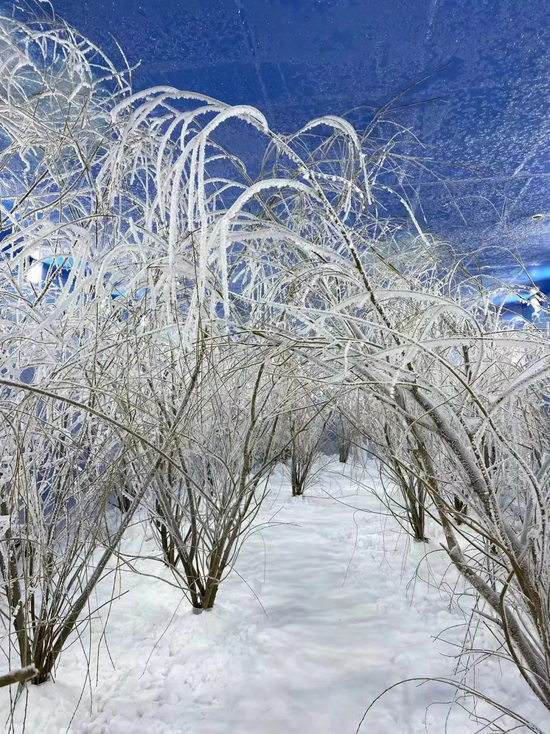 吉林市夏赏雾凇景观对游客开放