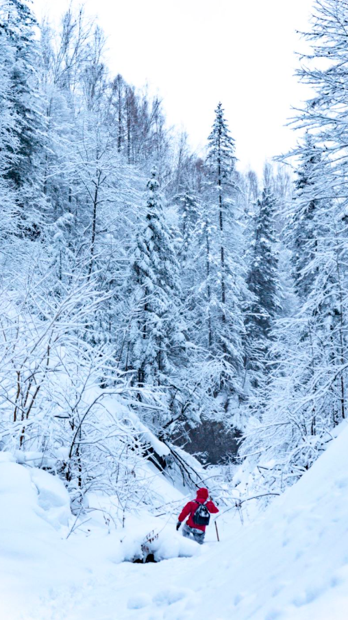 长白山雪景摄影图片