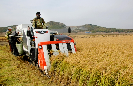 金扁担挑出好日子扛稳粮食安全重任吉林省走好创新驱动高质量发展路