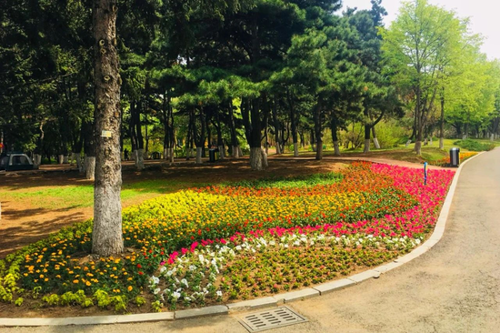 长春市动植物公园积极开展绿化彩化,植保防治等各项工作