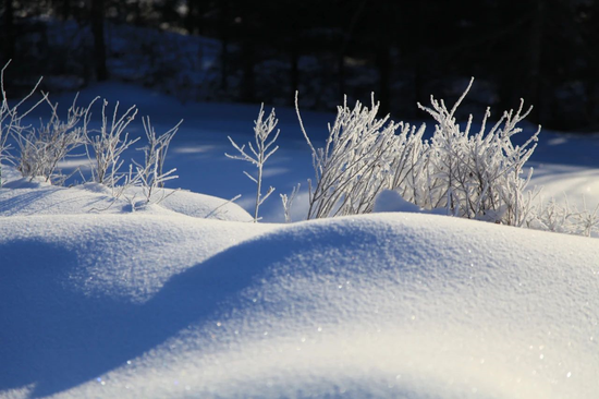 科普贴|长白山粉雪是粉色的吗?内含气象数据_新浪吉林_新浪网