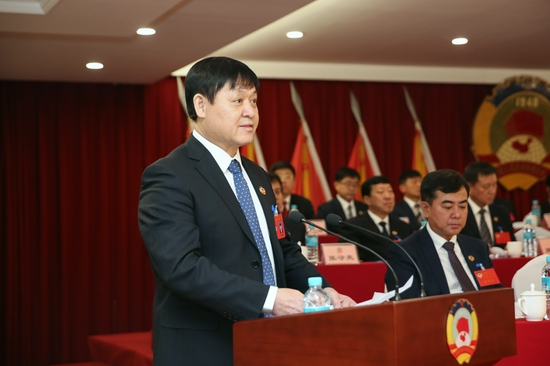 徐国斌作提案工作报告 杨婷婷 摄