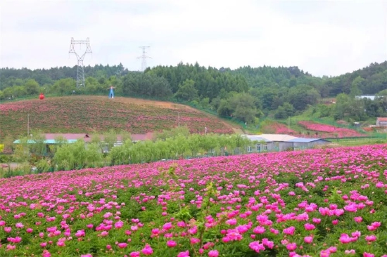 辽源十个乡村旅游精品点十条乡村旅游精品线路 邀您共赏田园风光