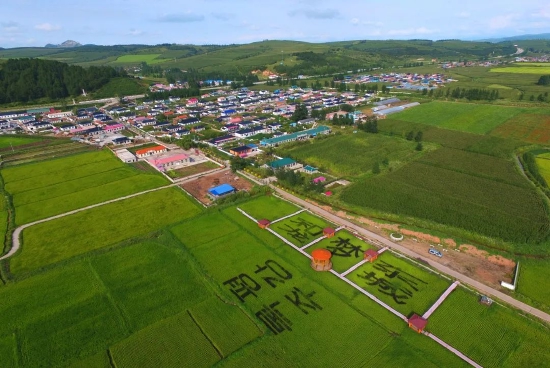 光东村全景