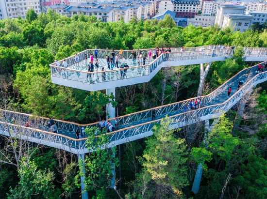 避暑旅游丨22的清凉长白山避暑旅行记