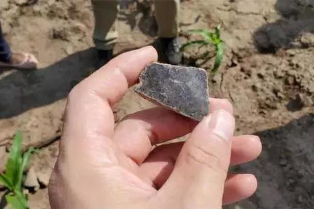 梨树一农民自家地总被挖 原来是地里有文物