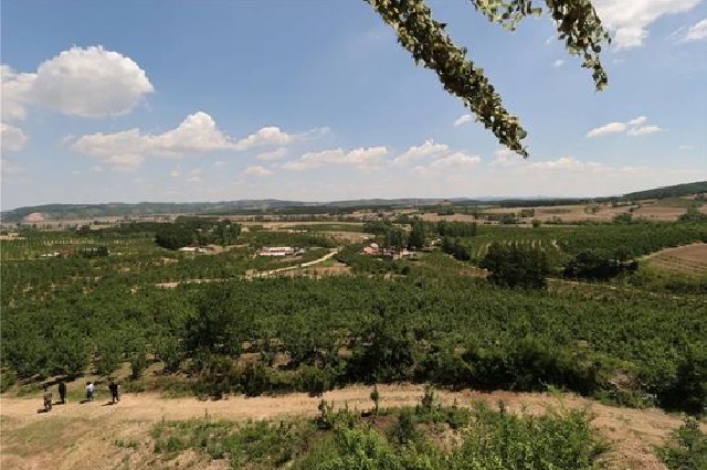 【农村精神文明建设巡礼】辽源市东丰县小四平镇:金红苹果之乡 文明