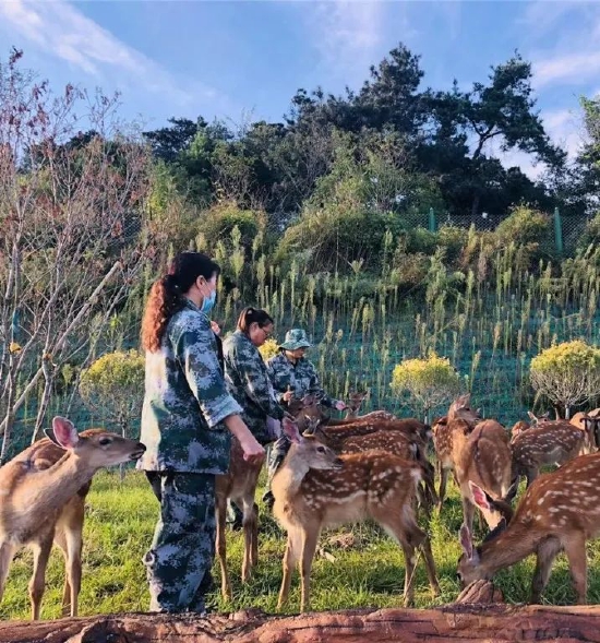 辽源十个乡村旅游精品点十条乡村旅游精品线路 邀您共赏田园风光