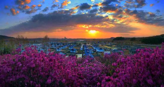 延边州和龙市西城镇金达莱村