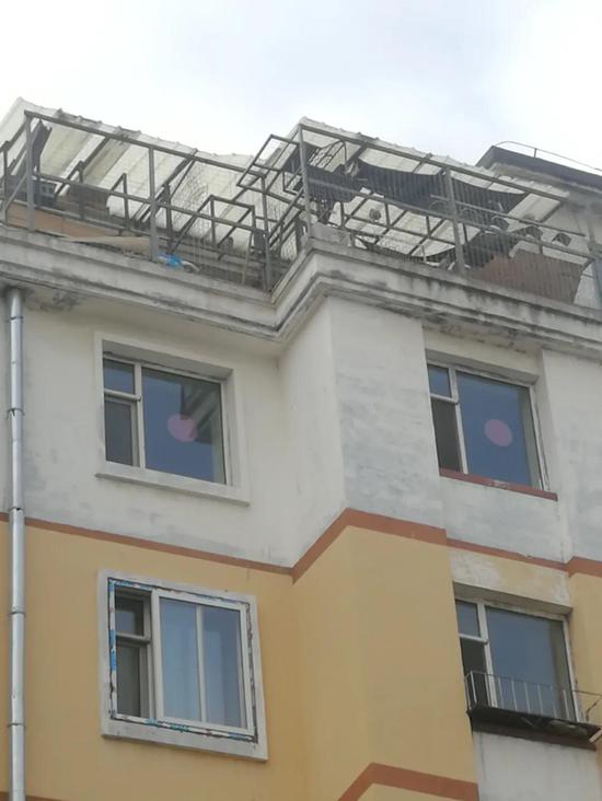 辽源市一楼顶建鸽舍业主我是信鸽协会会员