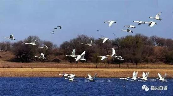 白城景点排行榜_白城周边区县04月天气(2)
