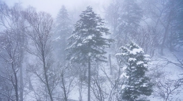 一朝江城雪 唯美醉人间