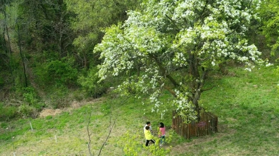 辽源十个乡村旅游精品点十条乡村旅游精品线路 邀您共赏田园风光