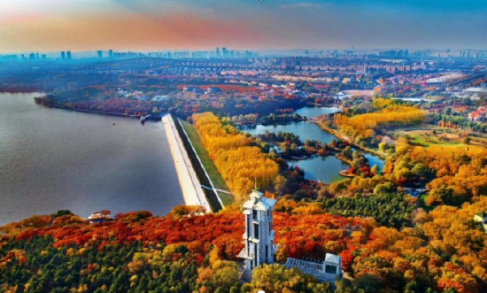 北国之秋春城之约丨长春市人世间拾光之旅