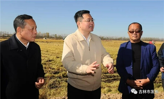 吉林市市长王路调研长吉接合片区吉林市试验区建设