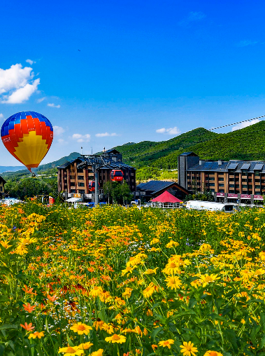 吉地花开轻奢出游吉林市周边一日游引燃端午假期文旅市场