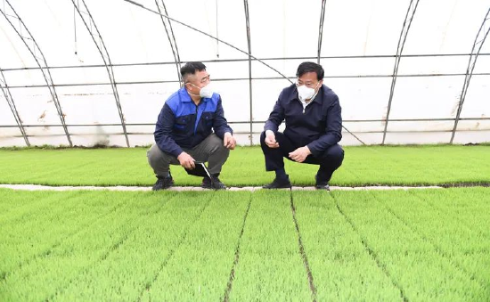 4月21日,韩俊在永吉县岔路河镇检查指导备春耕生产,水稻育苗等工作.