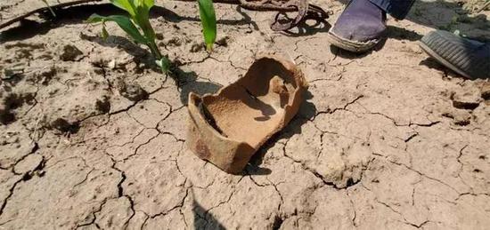 梨树一农民自家地总被挖 原来是地里有文物