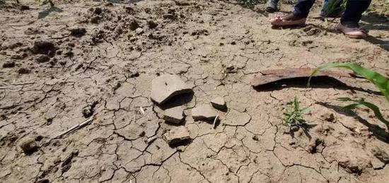 梨树一农民自家地总被挖 原来是地里有文物