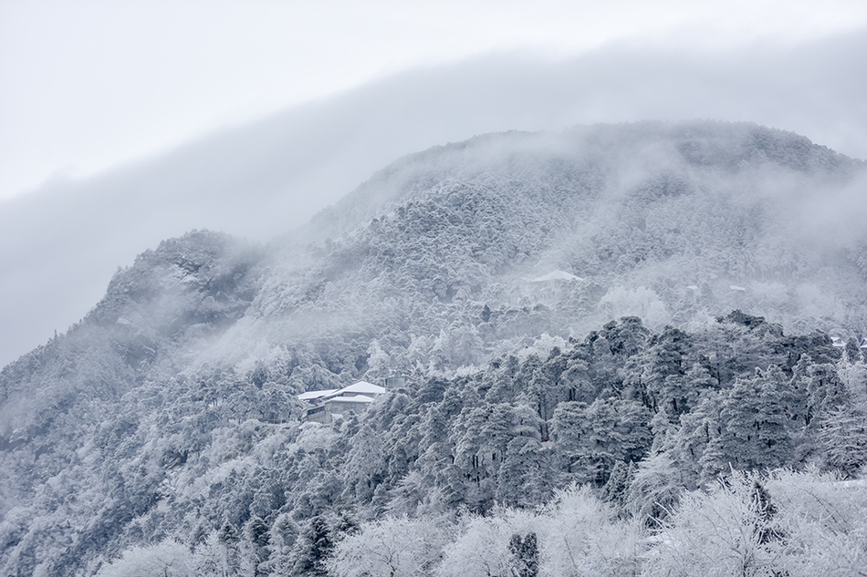 大雪后的庐山:雾凇遇上了瀑布云简直不要太美