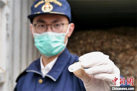 经送南昌海关技术中心鉴定,确定为微扁谷盗和锈赤扁谷盗,其中微扁谷盗