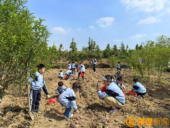 南昌乡村丰收季农场游成新热点