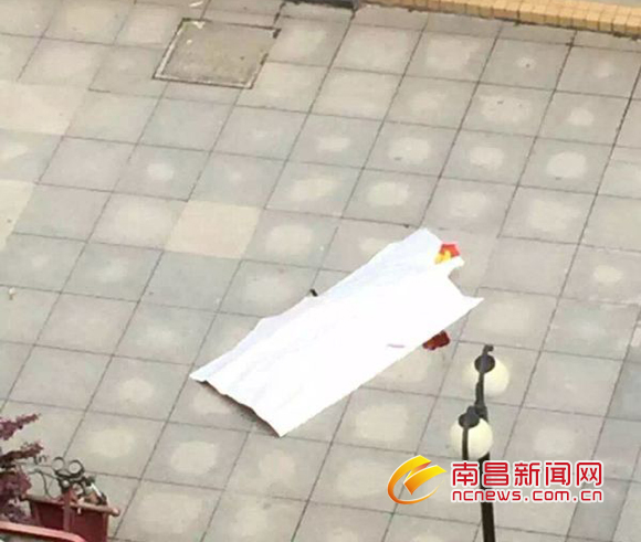 死亡盖白布的照片图片