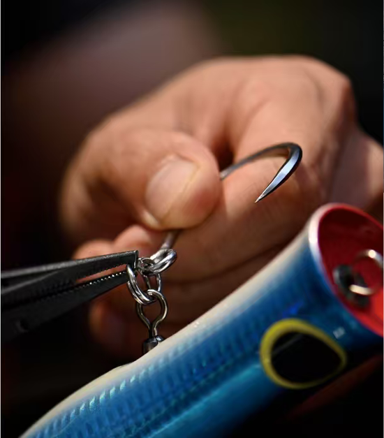 鄱阳湖小鱼钩钓来大产业