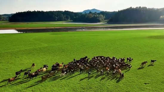 抚州南城草原成打卡新地标
