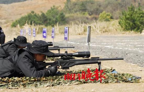 神剑突击队女子特战队的队员们手持88式狙击步枪,展示了100米标语靶