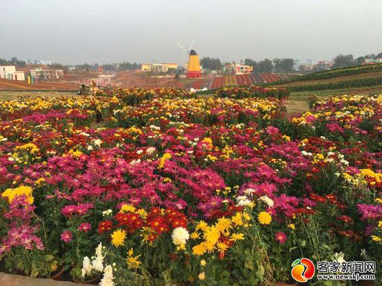 赣州经开区五彩城观光花博园试开园吸引众多游客