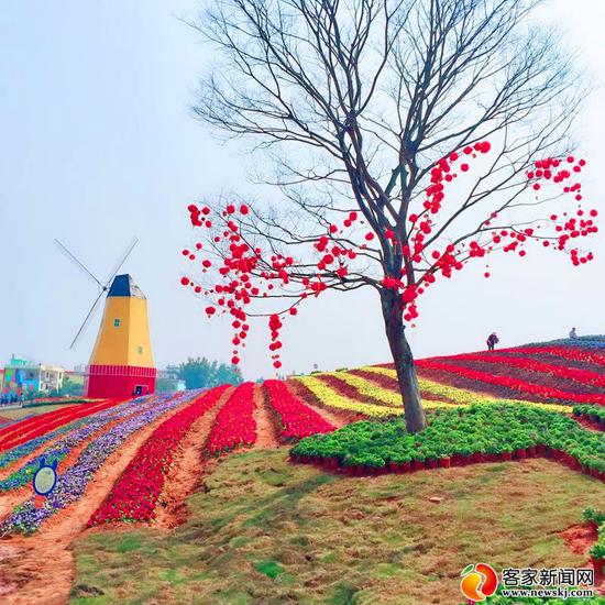 赣州经开区五彩城观光花博园试开园吸引众多游客