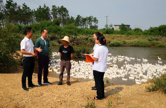 李振华(左二)经常带养殖行业的专家帮村民谭荣孙解决养鹅的实际困难
