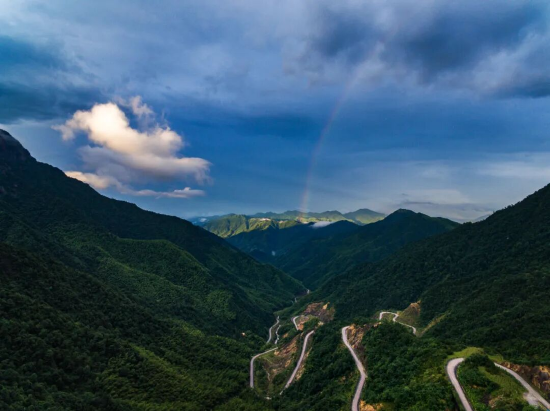 青茅境