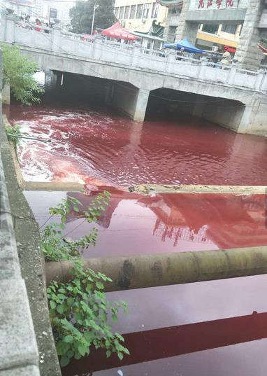 九江学院门前河水呈现血红色并有一股腥味图