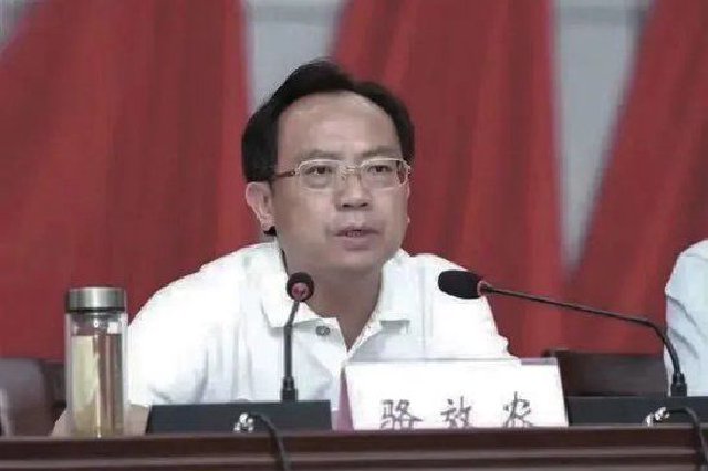 九江市政协党组成员骆效农接受审查调查