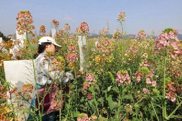 解密南昌“花花世界”背后的科技力量