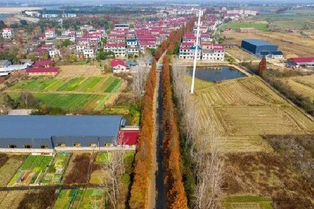 全国十大最美农村路！江西这条公路上榜