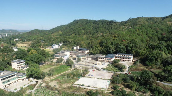 村里村外都是杨梅树。