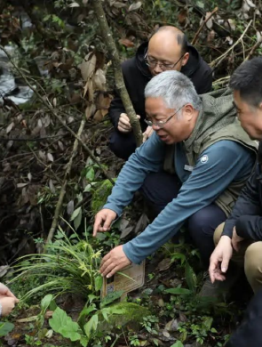 江西团队成功拯救植物界“金丝猴”