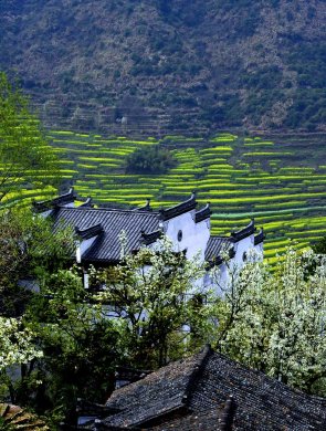 16条赣鄱清凉避暑旅游精品线路公布