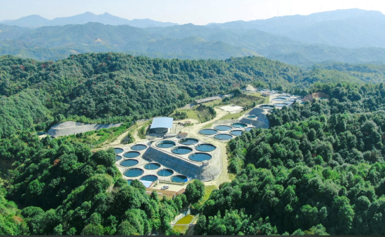 　　（建行江西省分行以金融“活水”助推中国稀土集团开展稀土矿山环境保护和可持续发展。图为赣南稀土矿山。中国稀土集团供图）