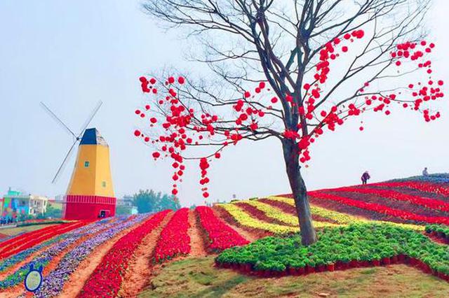 赣州经开区五彩城观光花博园试开园 吸引众多游客