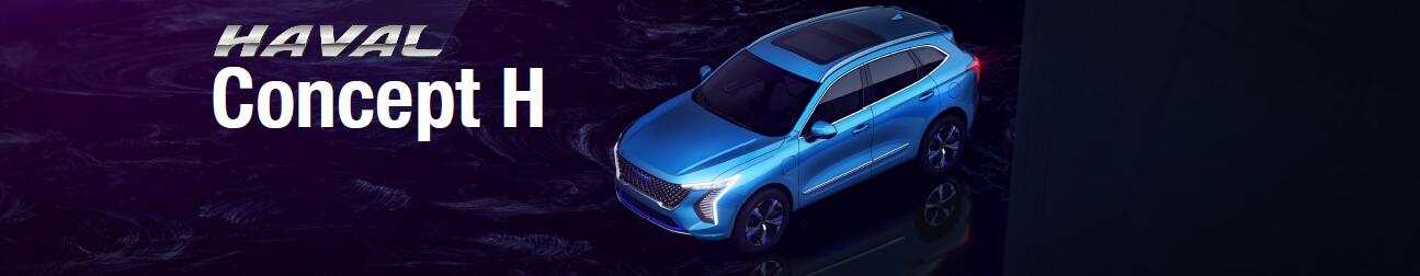 第15届印度德里车展：长城Concept H概念车全球首发