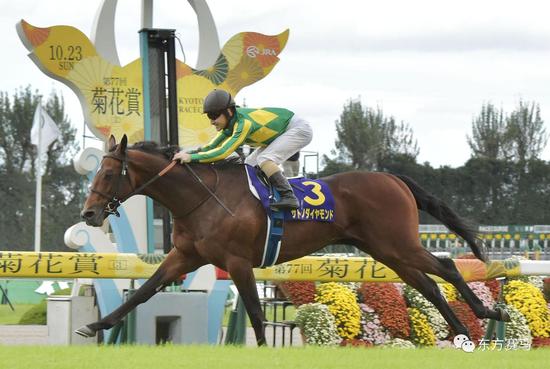 图/the japan times,里见光钻