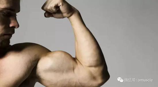 基因是天生训练还是后天？哪几招让你手臂再大一圈？