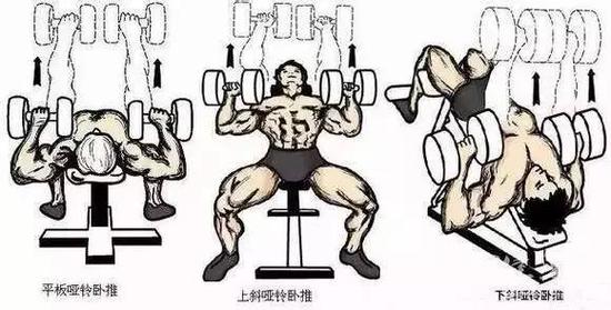 史上最全15个健美健身方法，男神女神就是这样练的。